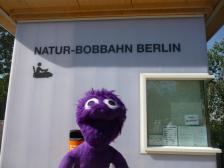 Der wahre Grund unseres Besuchs.