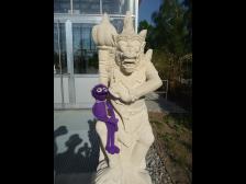 Zwei Sch&ouml;nheiten!