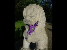 Ich hab keine Angst!