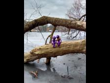 Ich dachte, du hast unsere Mützen dabei!