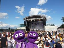 Endlich in Allenstein! Und gleich Festival!