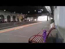 Knut wartet auf den Zug.