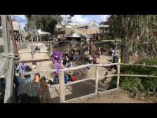 Schnell kurbeln, Knut, um die Steine (hoffentlich mit Goldstücken) hochzubringen.