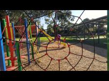 Gefangen im Spinnennetz.