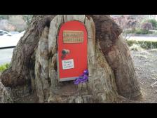 Im Baum am höhsten Punkt des Gipfels schläft ein Possum namens Mr Percy. Wir sollten ihn wohl besser nicht stören.