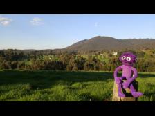 Die muhenden K&uuml;he in der Ferne, der kr&auml;hende Hahn in H&ouml;rweite und eine wilde Wiese direkt vor uns.