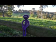 Knutine hat natürlich recht; wir sollten besser nicht über den Zaun steigen.