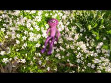 Wer will denn nicht in duftenden schönen Blumen liegen?!