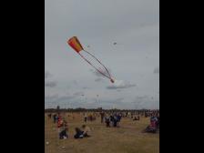 Flamm zeigt wie es richtig geht, und lässt sich elegant in die Lüfte heben!