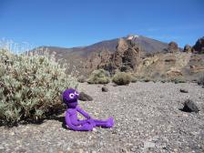 Knut braucht eine Pause und genießt die Landschaft.
