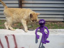 Knut hat keine Angst.