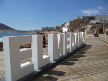 Hauptsache Knut sitzt bequem!