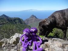 Im Hintergund (vermutlich) La Gomera, im Vordergrund ein zum Glück harmloser Hund!