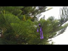 Vorteil: Griffigkeit :)