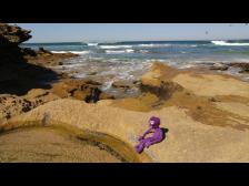 Gunnamatta Strand zieht zahlreiche Surfer an. Das Steinbecken nicht weit weg reicht Knut aber aus.