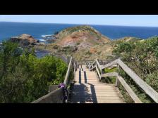 Cape Schank - so windig!