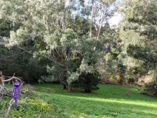 Unsere Schuhe und Socken waren klatschnass. Knutine und Knut sind nat&uuml;rlich staubtrocken :)