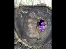 Meine neue Wohnhöhle!