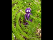 Ein wenig Regen und schon leuchtet alles grün.