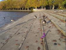 Erstmal etwas Herbstsonne tanken