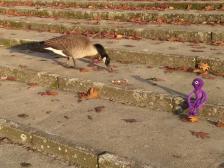 Hab' leider nichts zu Essen dabei!