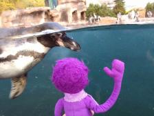 Hallo, ich bin Minnie!