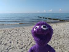 Endlich wieder Meer, hurra!