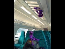 Ein knutiger Sonderzug nur f&uuml;r uns!