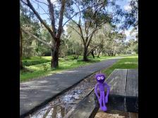 Es hat die Nacht zuvor geschüttet