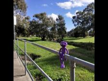 Ein Golfplatz ist auf der anderen Seite. Vielleicht sollten wir spielen?