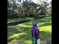 Ausschau halten für Fahrradfahrer