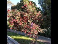 Genau richtig f&uuml;r ein M&auml;dchen!