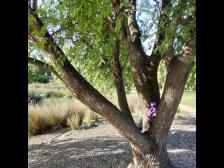 Bäume sind immer ein toller Rastplatz