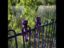 Ein Zaun an der seichten Stelle des Teichs