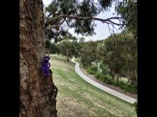 Kleine Pfade schl&auml;ngeln sich den H&uuml;gel runter