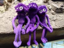 Sieht irgendjemand Dinos?