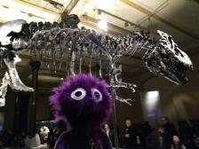 Tristan - etwas schwierig aufzunehmen.