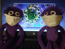 Wie Sie sehen, sind die Viren viel zu groß um ausversehen eingeatmet zu werden!