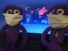 Trotzdem empfehlen wir sicherheitshalber die sofortige Evakuierung aller Knuts nach Madagaskar!