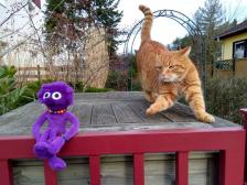 Orm schleicht sich an