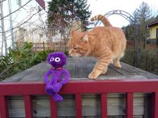 Guten Tag. Orm mein Name.