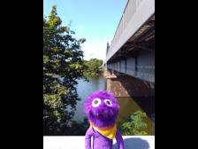 Sicher am anderen Ufer!