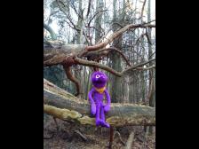 Hier oben ist's besser!