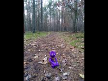 Und wenn nun ein Wildschwein kommt?