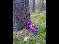 Für Berlin im Dezember, ein schöner Tag!