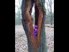 Ob hier mal ein Baumknut gewohnt hat?