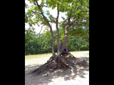 Sieht aus, als wäre schon etwas Sand abgetragen...