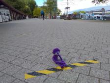 Holly ganz allein in der Kaffee-Warteschlange im Treptower Park.