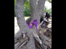 Süßes Nichtstun, dafür sind wir Knuts geschaffen!