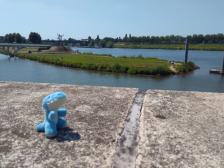 Lebowski an der Maas!